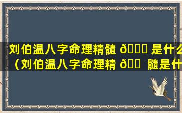 刘伯温八字命理精髓 🐟 是什么（刘伯温八字命理精 🐠 髓是什么意思）